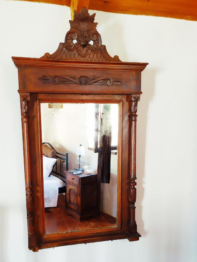 Villa Chrysodimi Chalki Town Екстериор снимка